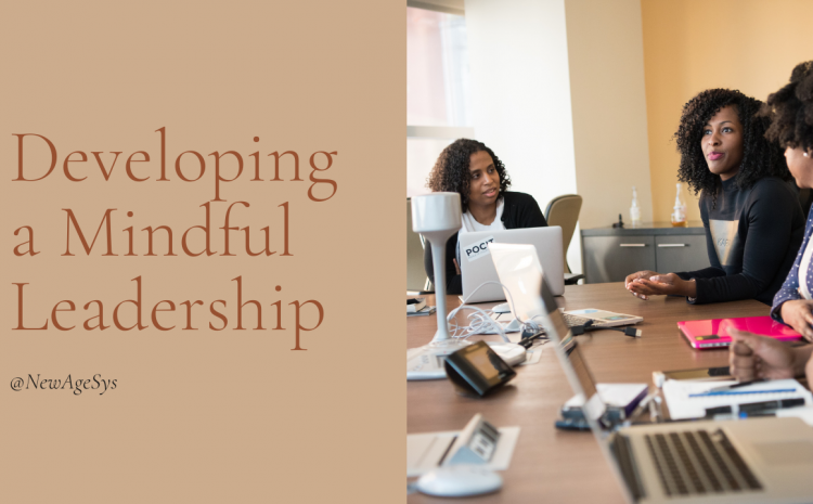  Developing a Mindful Leadership at NewAgeSys