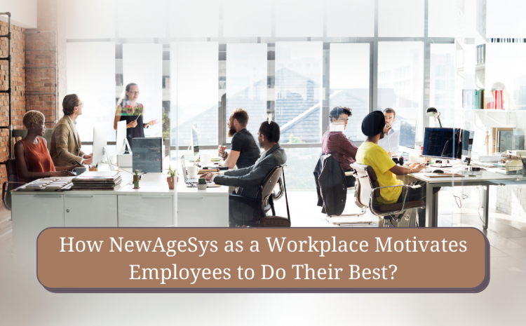  How NewAgeSys as a Workplace Motivates Employees to Do Their Best?