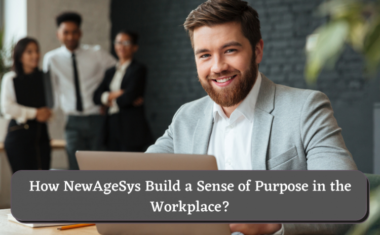  How NewAgeSys Build a Sense of Purpose in the Workplace?