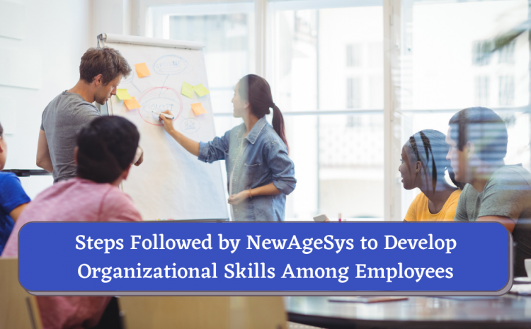  Steps Followed by NewAgeSys to Develop Organizational Skills Among Employees