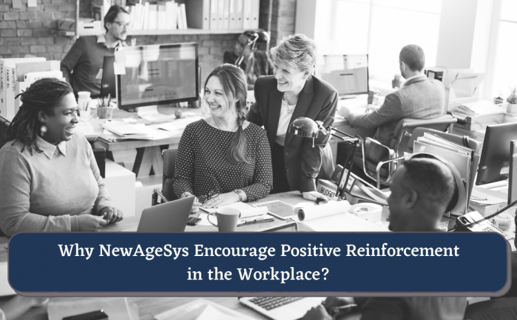  Why Does NewAgeSys Encourage Positive Reinforcement In The Workplace?