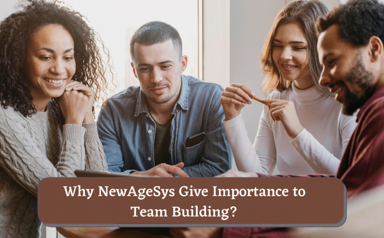 Why NewAgeSys Give Importance to Team Building?