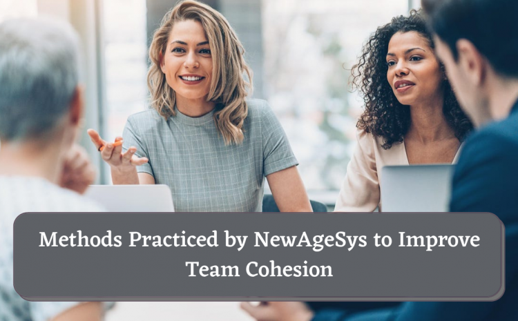  Methods Practiced by NewAgeSys to Improve Team Cohesion