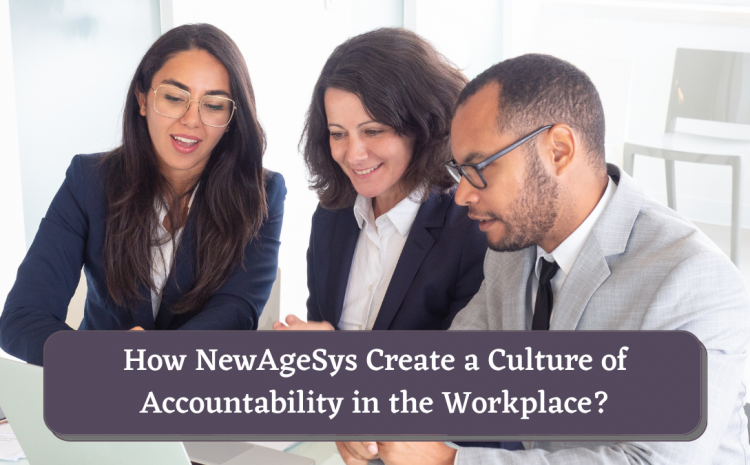  How NewAgeSys Create a Culture of Accountability in the Workplace?